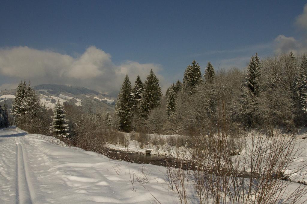 Apartmenthaus Berdnik Kotschach-Mauthen ห้อง รูปภาพ