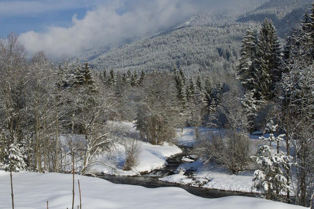 Apartmenthaus Berdnik Kotschach-Mauthen ห้อง รูปภาพ